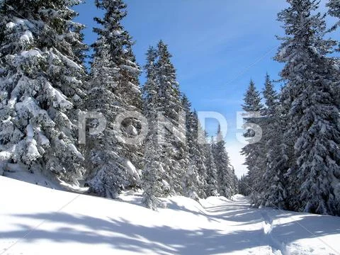 Nature Winter Cold Natural Landscape Snow In