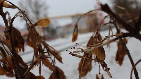 Nature in winter Stock Footage 103372405
