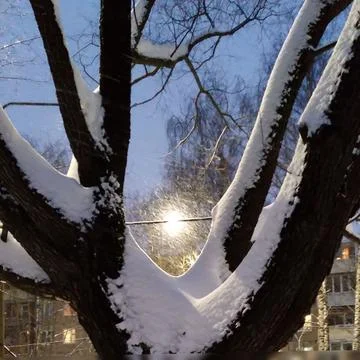 Nature in winter Stock Photos