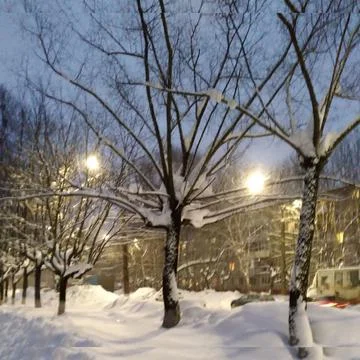 Nature in winter Stock Photos