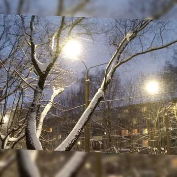 Nature in winter Stock Photos