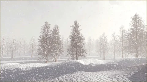 Nature winter scenery snow tree landscape Stock Footage 140656017