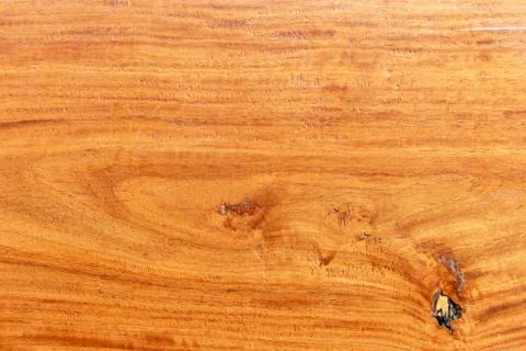 Nature wood surface for background wallpaper wooden concept Фото