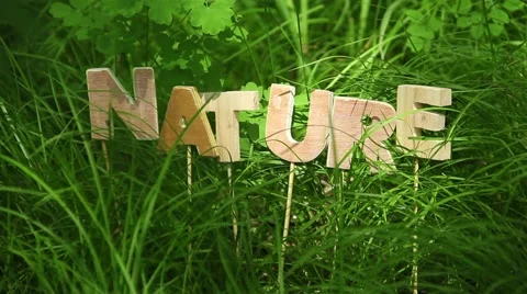 Nature Word in the grass Video stock 51142075