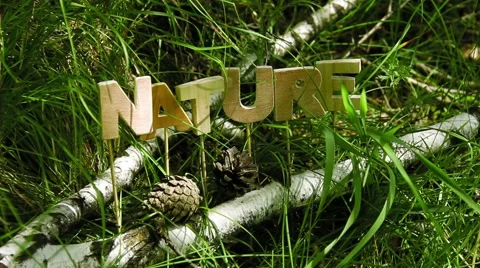 Nature Word in the shade of a tree Stock Footage 51142131