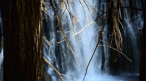 Nature at Work Stock Footage 38710764