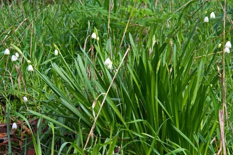 Nature at work Stock Photos