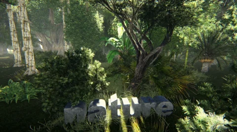 Nature written in stone Stock-Footage 34801710