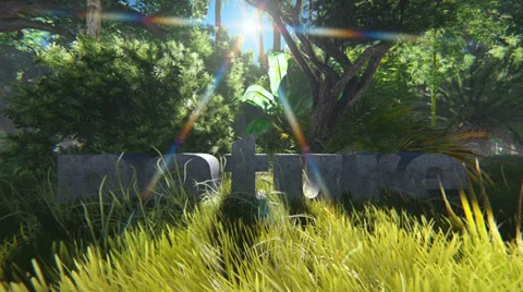 Nature written in stone Stock Footage 34803190