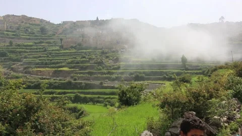 Nature in Yemen Stock Footage 194600909