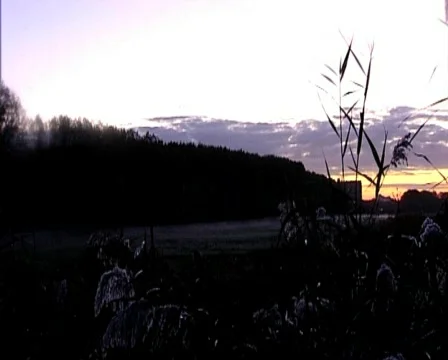 Nature01 Stock Footage 544043