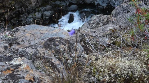 Nature01 Video stock 114824133