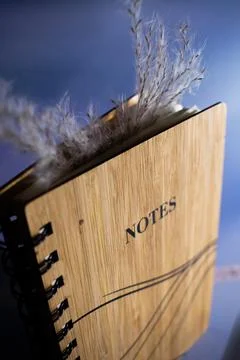 Nature&amp;#039;s Embrace: Capturing Thoughts in a Rustic Notes Journal. Foto stock