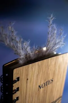 Nature&amp;#039;s Embrace: Capturing Thoughts in a Rustic Notes Journal. Foto stock