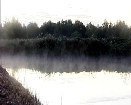 Nature04 Stock Footage 544012