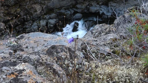 Nature04 Video stock 114824171