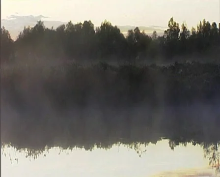 Nature05 Stock Footage 543979