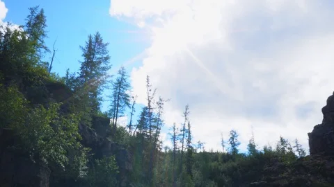 Nature06 Video stock 114824213