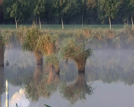 Nature07 Stock Footage 543937