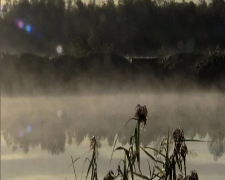 Nature09 Stock Footage 543920