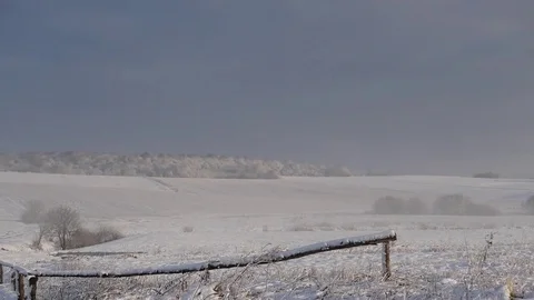 Nature1 1 Stock Footage 83511653