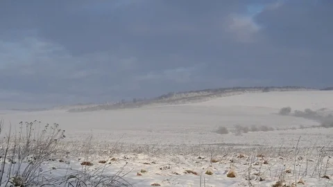 Nature1 3 Stock Footage 83511510