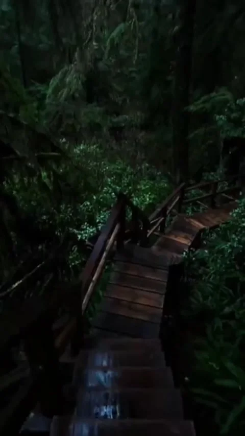 Natureadventure Stock Footage 304632591