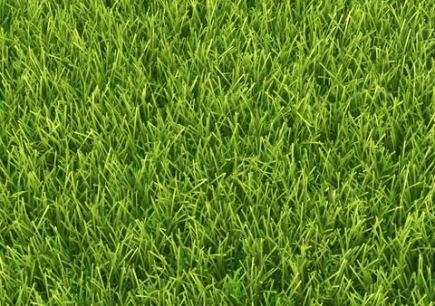 Natured green grass field texture backdrop background Illustrazione stock