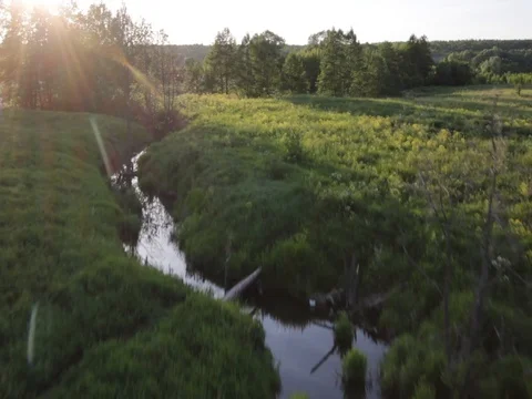 Nature.Helicopter Stock Footage 100188628