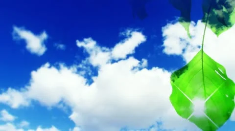 Naturel leaf background 7 Stock Footage 10869785