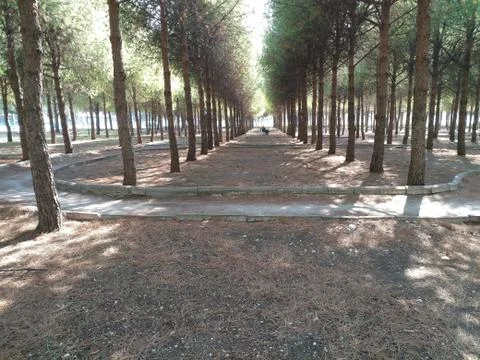 Naturel Walking Way Fotos de archivo