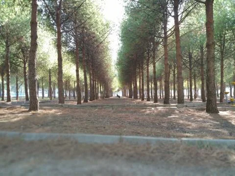 Naturel Walking Way Фото