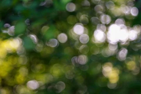 Natures Bokeh Foto stock