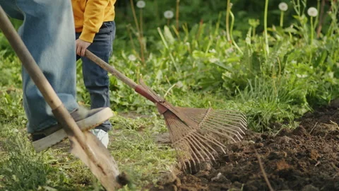 Nature's Bounty: A joyful child and her farmer father harvest organic vegetables Stock Footage 242035769