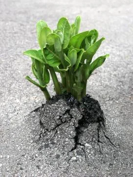 Nature's Breakthrough Photos