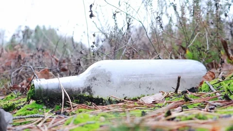 Nature's call to action: A discarded bottle in the lush wilderness 스톡 동영상 295335176