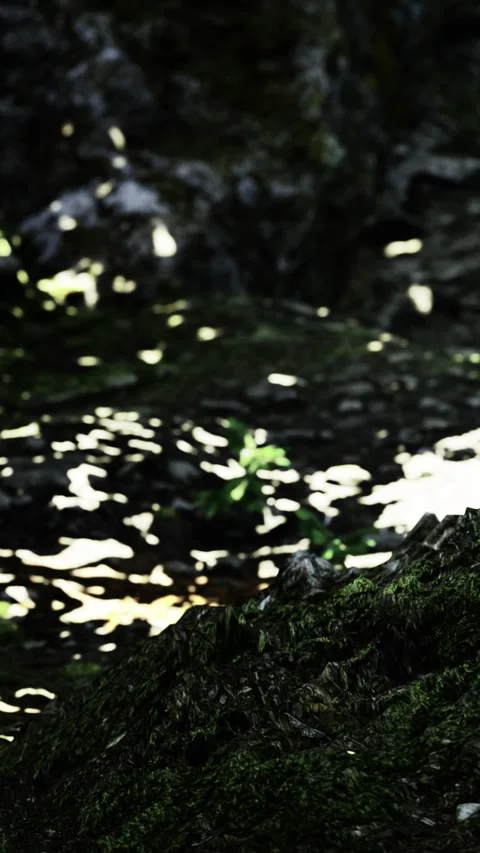Natures calm reflection in shimmering water with vibrant stones Stock Footage 335097916