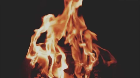 Natures campfire low light recording Stock Footage 79116294