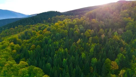 Natures Canvas Stock-Footage 306031065