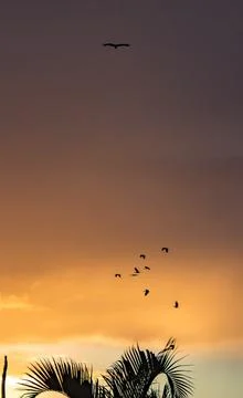 Nature's Canvas Stock Photos