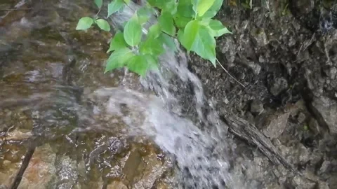 Natures Delicate Waterfall A Tranquil Stream Flowing Through Lush Greenery Vidéo 348527984