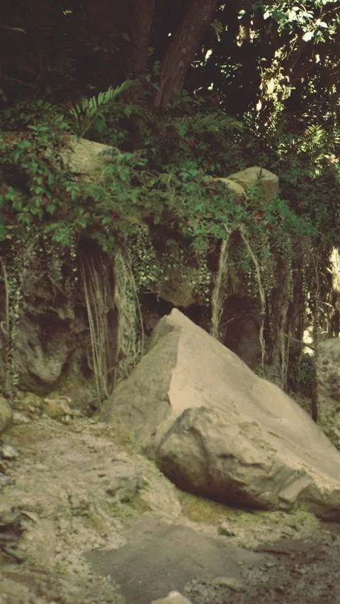 Natures elegance shines in harmony with ancient stones under vibrant greenery Stock Footage 331694817