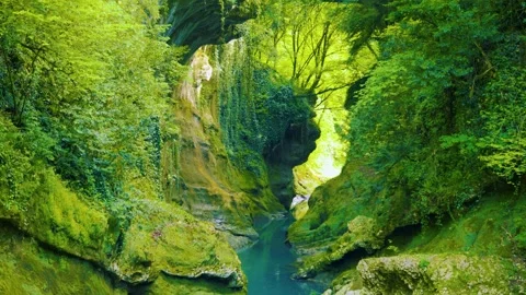Nature'S Face Illusion In Lush Green Canyon With River, This footage features Vidéo 334669014