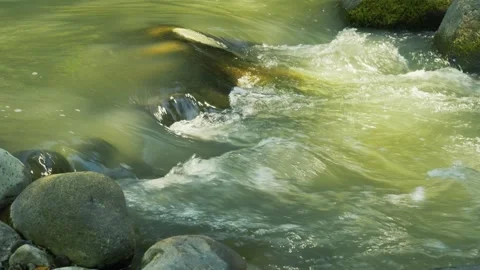 Nature'S Flow And Serenity, It can be used in commercials, documentaries Vidéo 334917518
