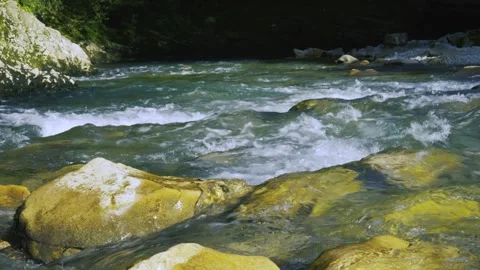 Nature'S Flow And Serenity, Rushing River Water Over Rocks In A Forest Stream Vidéo 334669082