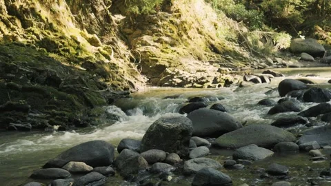Nature'S Flow And Serenity, Rushing River Water Over Rocks In Lush Green Forest Vidéo 334917583