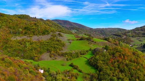 Natures Glory in Full Bloom Vídeo Stock 312241377