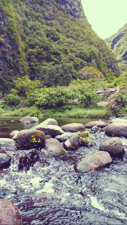 Nature's Harmony: Tranquil River Sounds for Relaxation Stock Footage 274110005