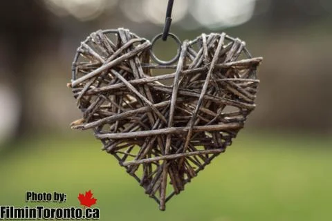 Nature's Heart Stock Photos