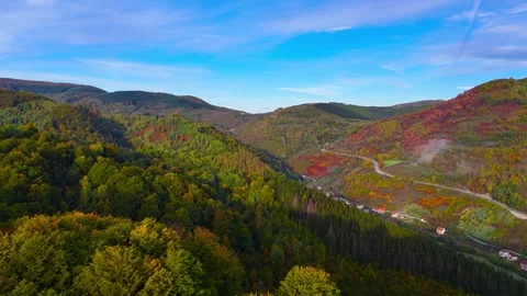 Natures Heartbeat Stock Footage 306032175